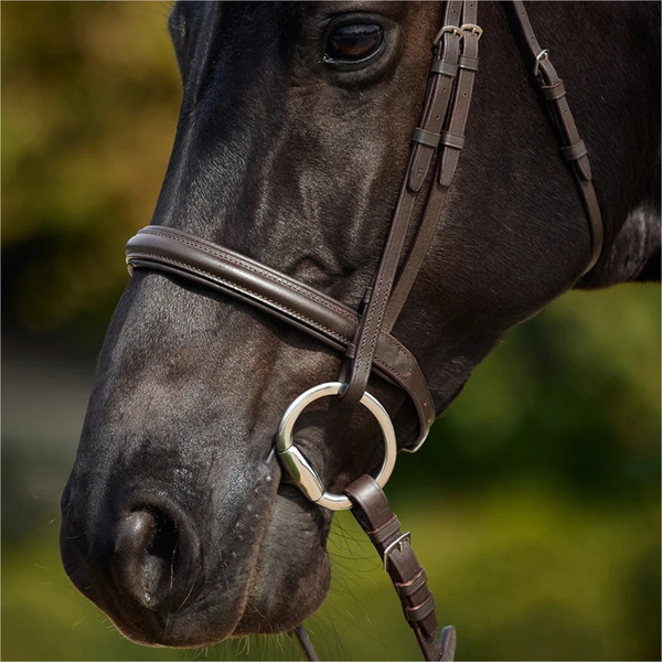 2026 Dublin Padded Cavesson Bridle 1031495 - Brown